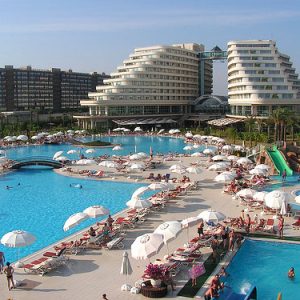 turkey4_b turkey4_b